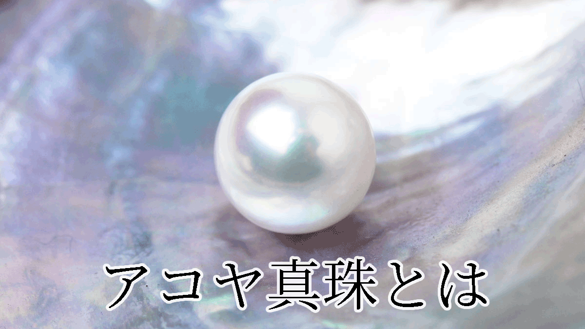 アコヤ真珠とは | 宇和島イノウエパール | 花珠 無調色 一生に一本の真珠ネックレス