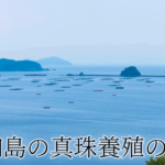 宇和島真珠とは｜宇和海の真珠養殖の歴史と現在