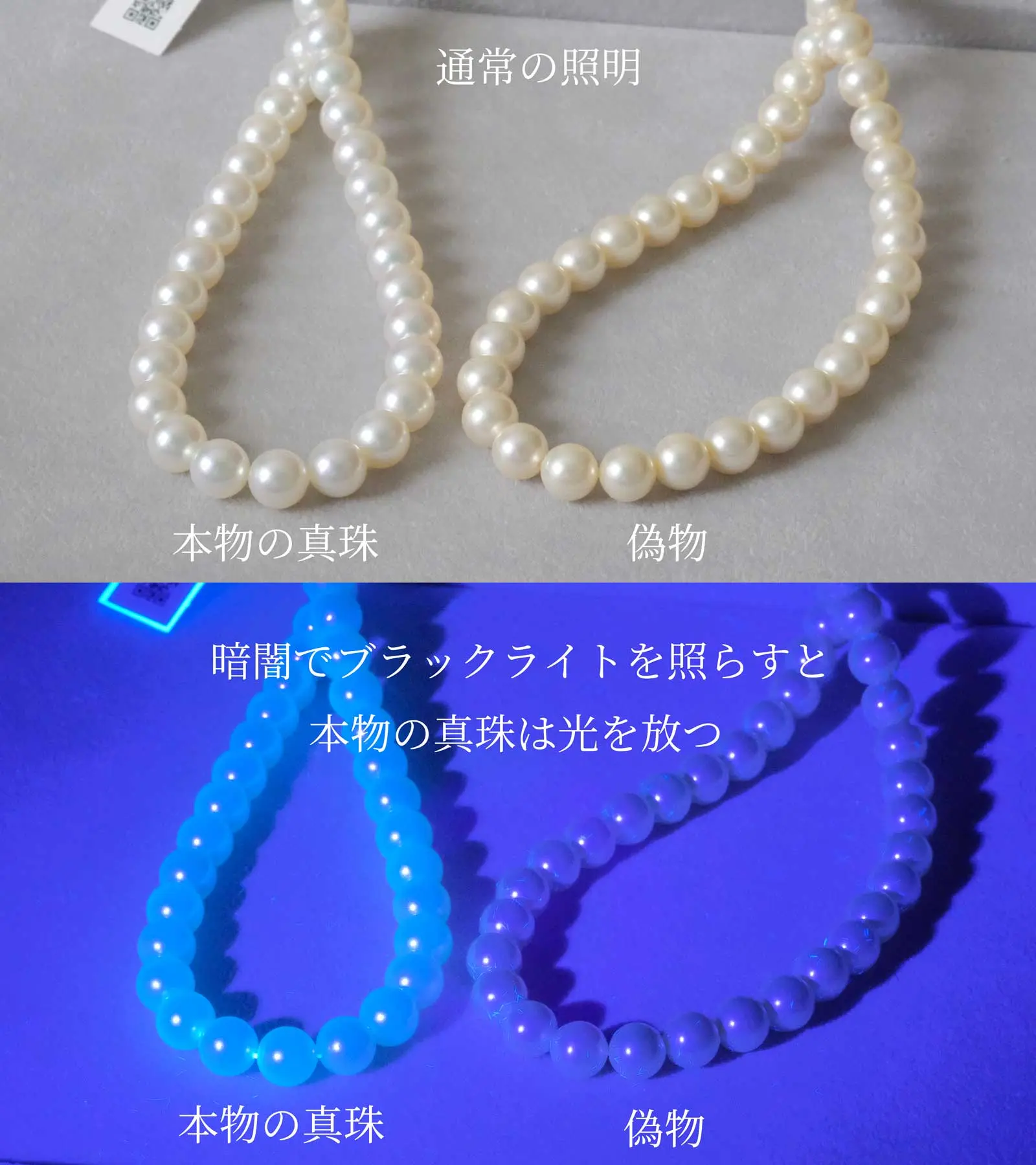 本物の真珠と偽物の真珠の蛍光性の違い