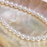 真珠貝の上に置かれた無調色の花珠パールネックレス
